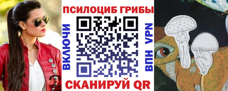Галлюциногенные грибы мицелий  omg вход  Богородицк 
